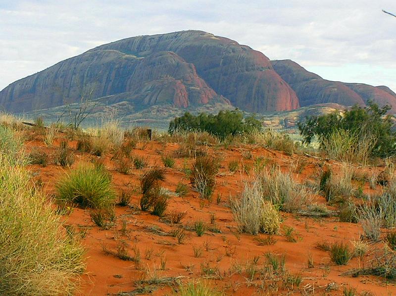 Olgas Kata Tjuta3.jpg - Die Kata Tjuta wurden von ihrem europäischen Entdecker Ernest Giles nach der Königin Olga von Württemberg die Olgas genannt. 1995 wurden sie wieder offiziell in Kata Tjuta umbenannt.